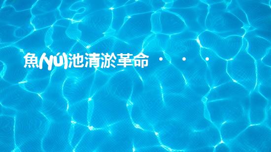 魚(yú)池清淤革命！一臺(tái)設(shè)備解決淤泥難題，你敢相信嗎？